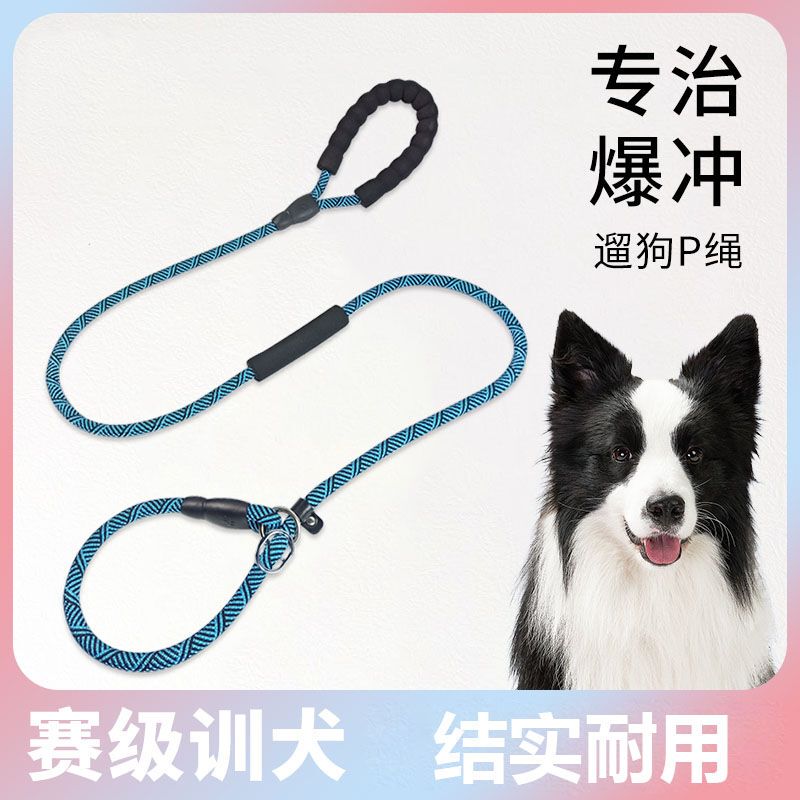 H2Wp绳防爆冲遛狗狗牵引绳训练边牧金毛柯基p链幼小中大型犬宠物