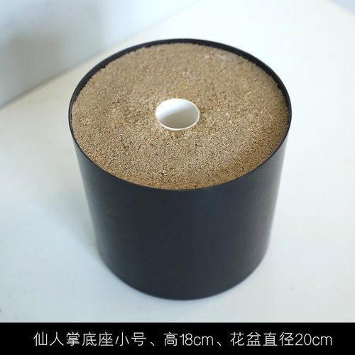 仿真仙人掌盆栽植物北欧风大型仙人柱仙人球室内外绿植造景摆件