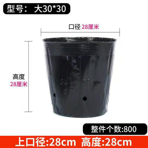 批发营养钵育苗育苗批发营养钵杯杯育苗花盆苗圃植物加厚花盆黑色