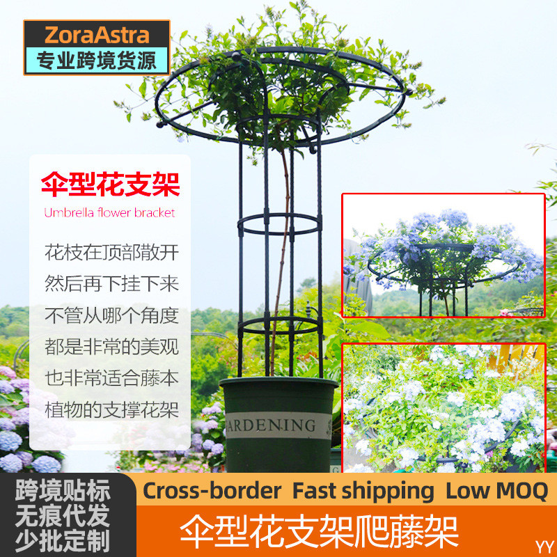 户外园艺伞形玫瑰爬藤架月季铁线莲攀藤蘑菇蔷薇花支架绿植支架杆