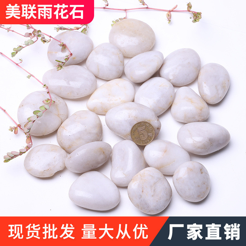 园林抛光鹅卵石江苏白色铺路雨花石头鱼缸造景园艺盆栽高光石块