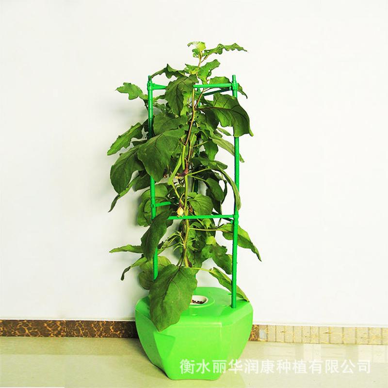 菜盆式单孔带藤架无土栽培设备阳台种植花盆盆