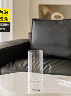 花瓶玻璃透明客厅摆件插花水培水养直筒雪柳马醉木高级感富贵竹大