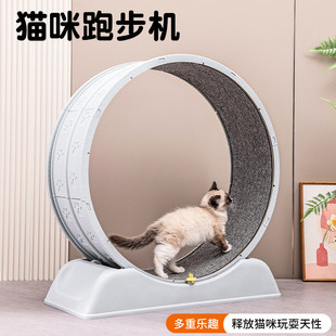 网红猫跑道 猫咪跑步机降噪猫跑轮静音实木运动宠物爆健身轮滚轮款