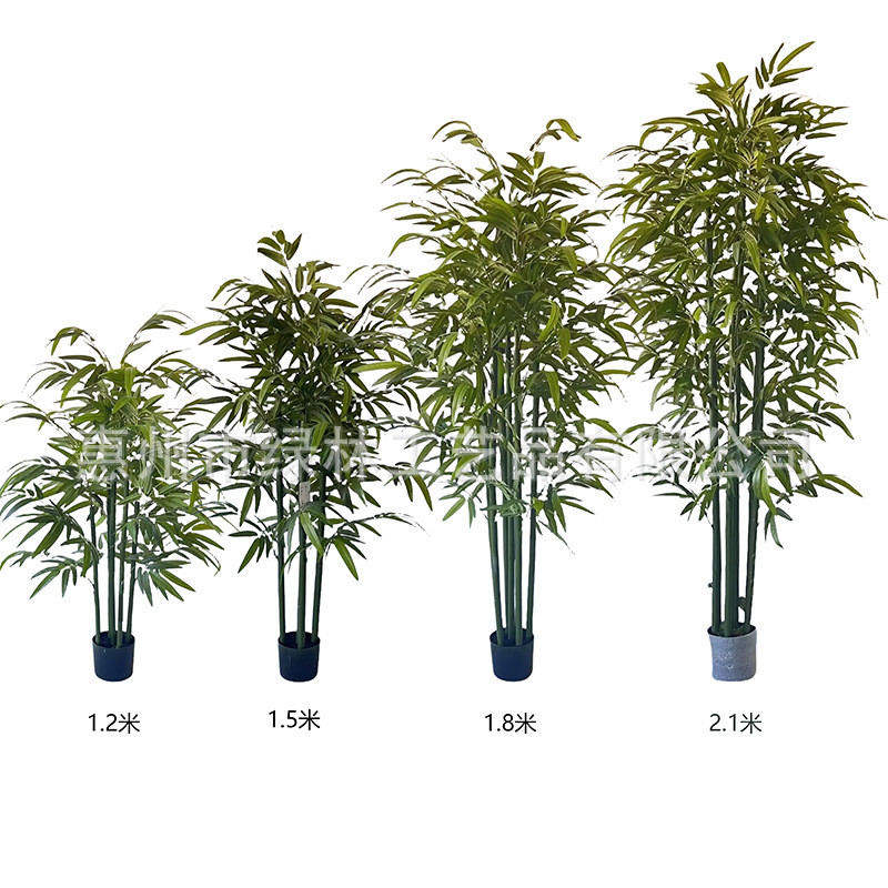 客厅绿竹真杆绿植仿真公司绿植室外绿植富贵竹
