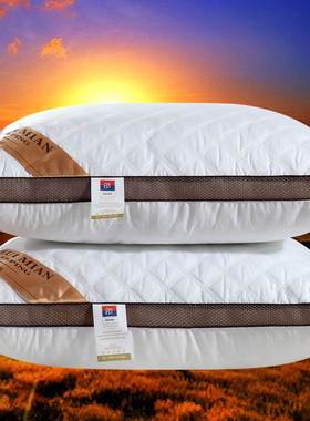 一对酒店成人家用双人清仓特价枕头套枕芯 2pcs set bed pillow