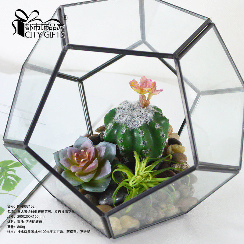 玻璃球形玻璃花房微景观多肉植物花房透明五边花房
