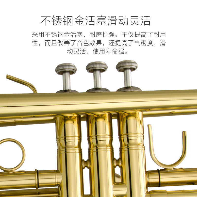 热销ptr宝专业小号乐器初学者演奏级儿童成人降b调漆金津-050管弦