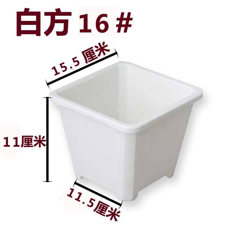 景天盆黑方白色多肉育苗盆基地花盆加厚电商黑色白方方盆批发