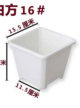 景天盆黑方白方多肉育苗盆基地花盆加厚电商黑色白色方盆批发