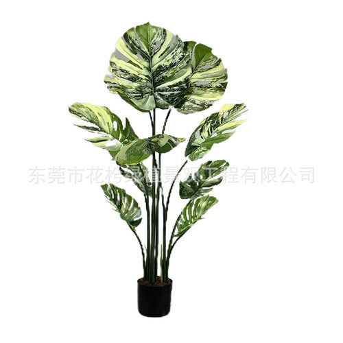 仿真植物盆景龟背叶仿真龟背盆栽绿植摆件仿真龟背仿真龟背竹盆栽