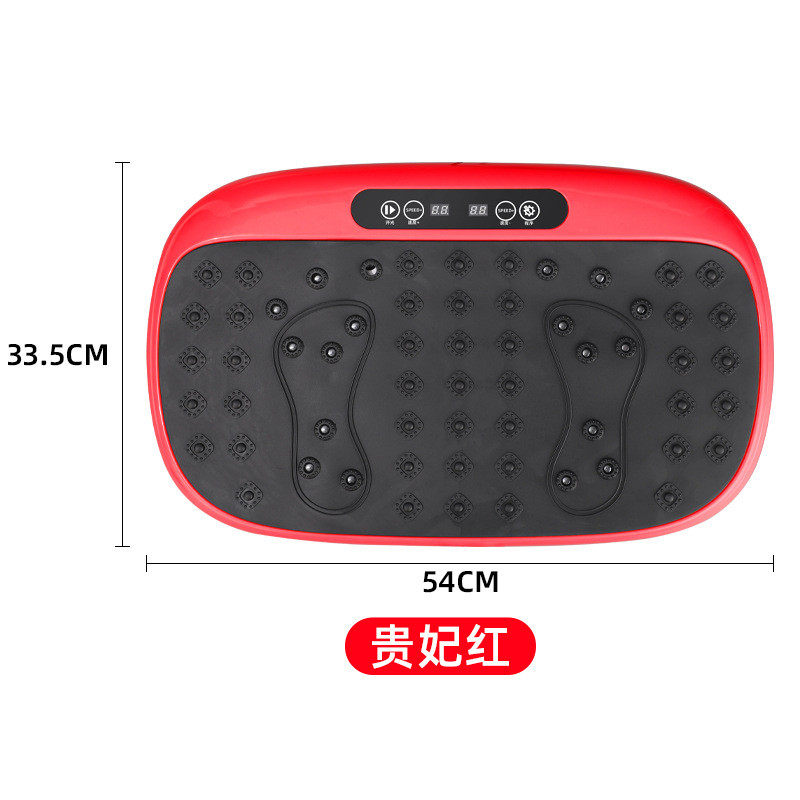 批发家用甩脂机瘦身运动器材震动抖抖机电动站立式律动机智能