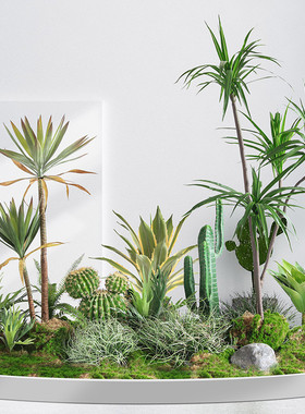 热带绿植景观室内展厅仿真植物盆栽巴西铁龙舌兰仙人球盆栽造景