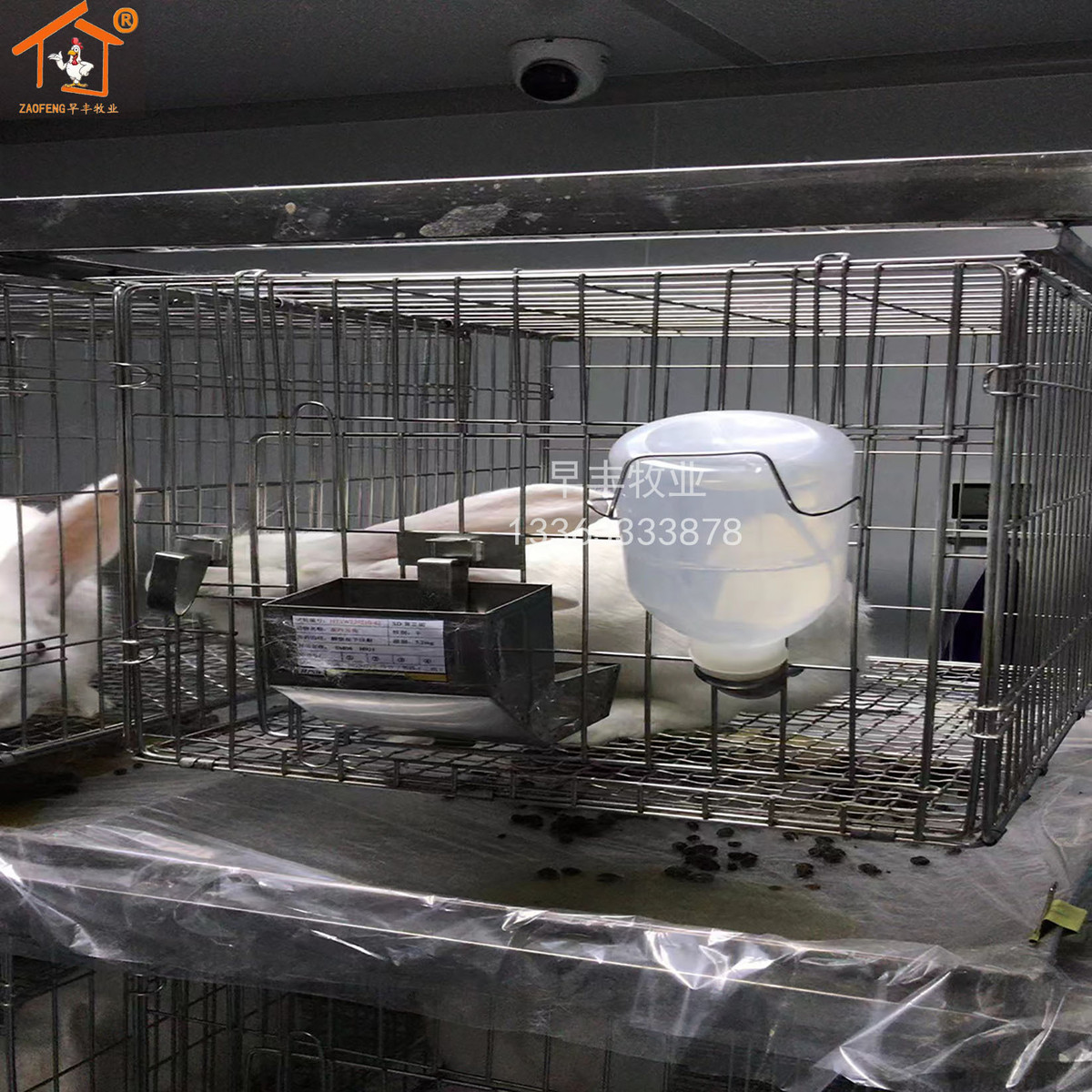 实验用兔笼实验用鸽笼鸡笼用豚鼠笼实验用实验豚鼠架