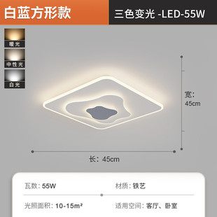 胜铁灯饰厂客厅灯大气云朵吸顶灯简约创意大厅灯极简卧室房间灯