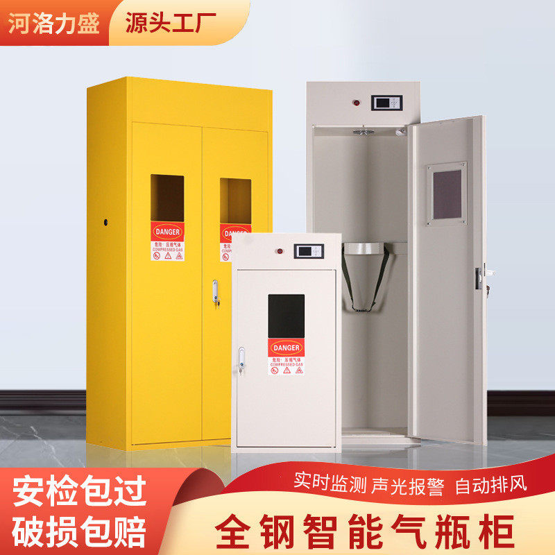 河洛力盛加厚单瓶双瓶智能探测危险气体储存柜实验室全钢气瓶柜,商业/办公家具,文件柜,淘宝优惠券,粉丝福利购,淘宝优惠卷