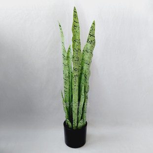 虎皮兰仿真盆栽家居装饰绿植绿植北欧摆件虎尾兰叶金边1米