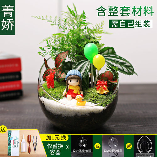 12cm切口微景观diy材料生态苔藓瓶包桌面迷你绿植物花卉小盆栽