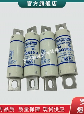 热销保险丝熔断器fr22am69v8p q219779/ fr22am69v10p s222978现