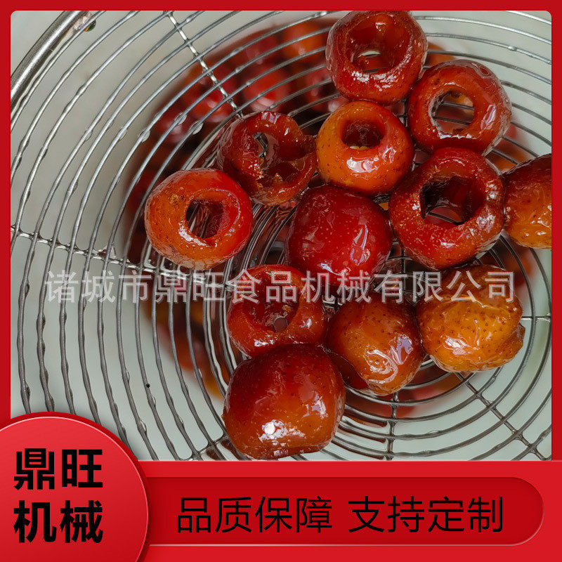 热销蒸汽加热真空果脯浸糖机冰山楂全自动浸糖锅蓝莓小型真空机果