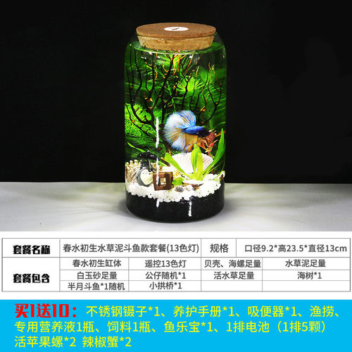 高脚杯生态瓶鱼免换水打理科微景观学用diy作业办公桌面造景鱼缸
