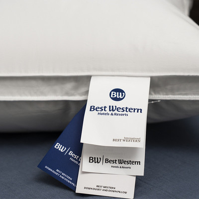 五星级洒店羽绒枕芯丨100支全棉总统毛片三层工艺枕头白鹅绒寝具