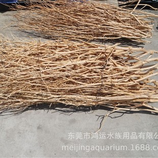 天然鹿角枝鱼缸草缸溪流缸森林南美缸装饰摆件缸造景原生树木枝条