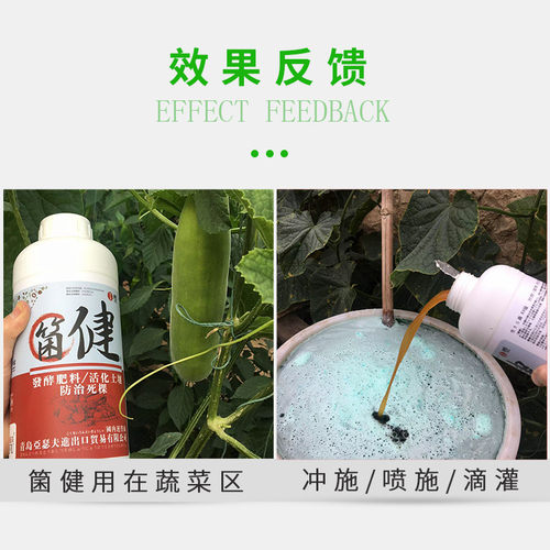 菌剂菌肥冲施发酵肥料em复合生物微生物原菌80亿活化土壤预防死棵