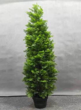 仿真松柏树假罗汉松盆景柏树枝仿真仿真绿植刺柏侧柏龙塔柏杉树