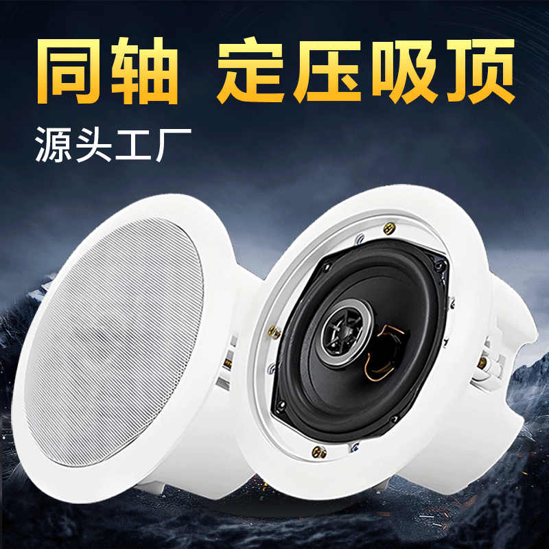 定压吸顶喇叭 30W公共广播同轴带后盖后罩音箱 定压吸顶喇叭