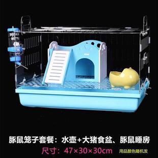 鼠透明实验室花枝鼠小松鼠笼尿饲养笼笼子宠物养殖培育工具