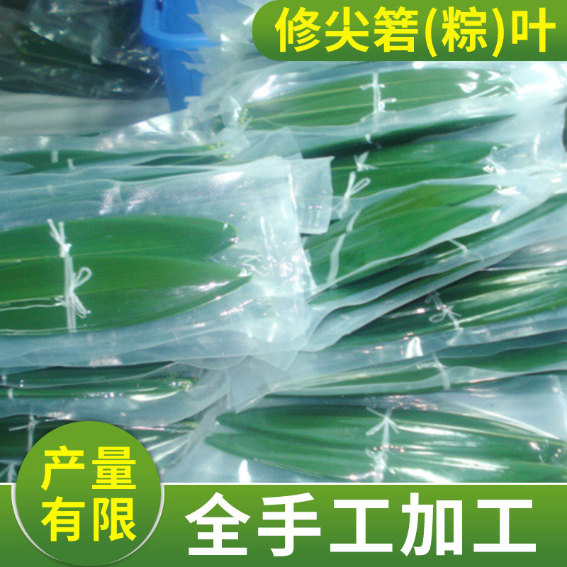 农家新鲜粽子叶真空保鲜干粽叶新箬竹叶现摘现发端午节粽叶菜肴粽