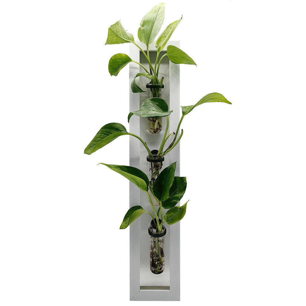 热销10*50cm3个家居试管墙壁花盆试管植物墙面花盆用于家居装饰