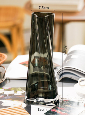 轻奢花瓶摆件客厅创意不规则透明玻璃水培装饰插花网红感花器