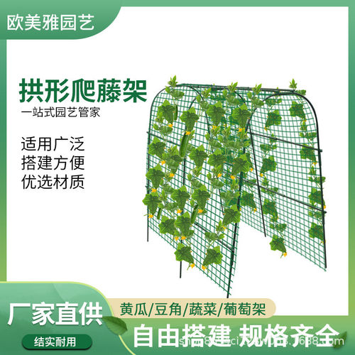 爬藤架花架包塑钢管爬藤花架杆户外园艺植物支撑杆拱形爬藤架