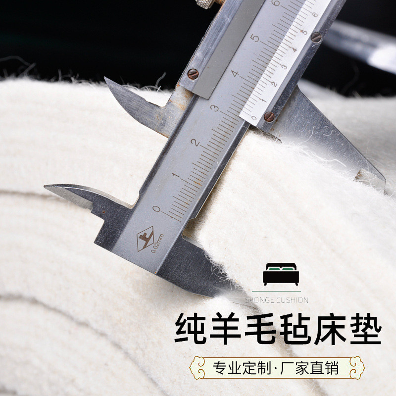 zq羊毛毡床垫加厚单人褥学生宿舍床垫炕垫榻榻米床垫软垫家用