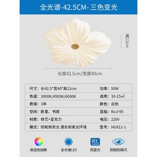 艺术极简花朵吸顶灯套餐现代奶油风家用客厅灯温馨简约风卧室灯