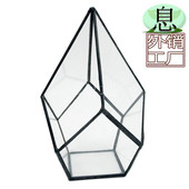 16007b 包邮 锡黑花房微景观植物玻璃小花房多肉植物玻璃几何