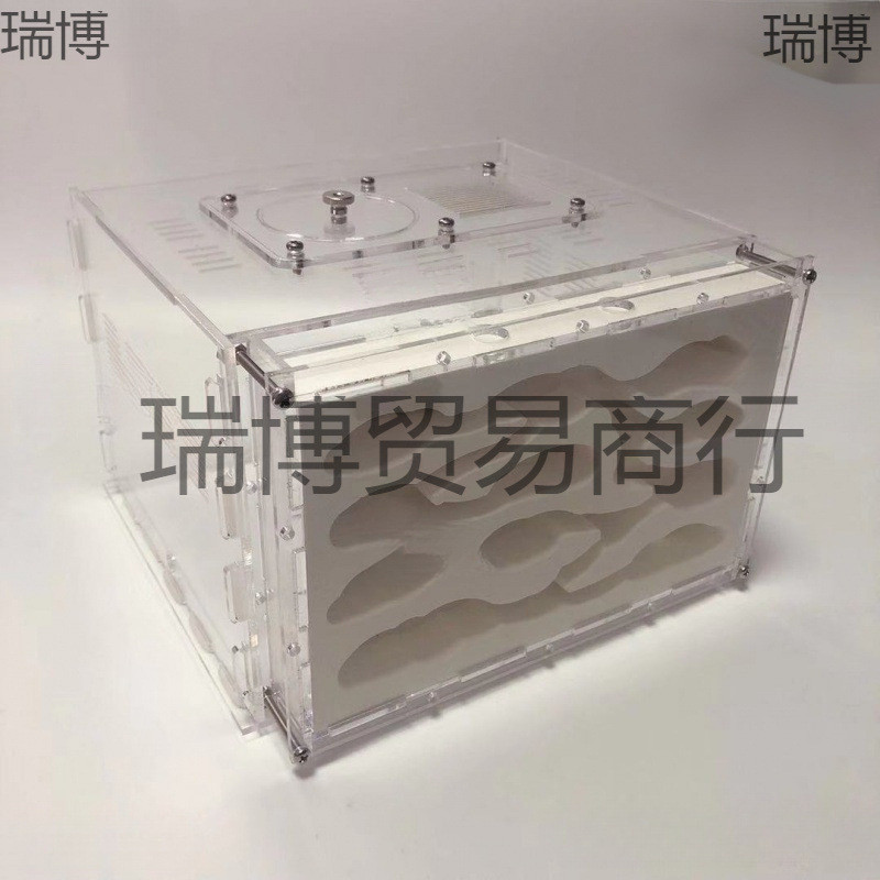 石膏蚁巢巢生亚克力城堡试管宠物生日特硬蚁巢宠物混凝土散装长宽