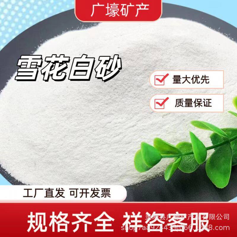 雪花白沙子石英砂白色细沙过滤儿童娱乐沙子沙滩圆粒沙雪花白人造