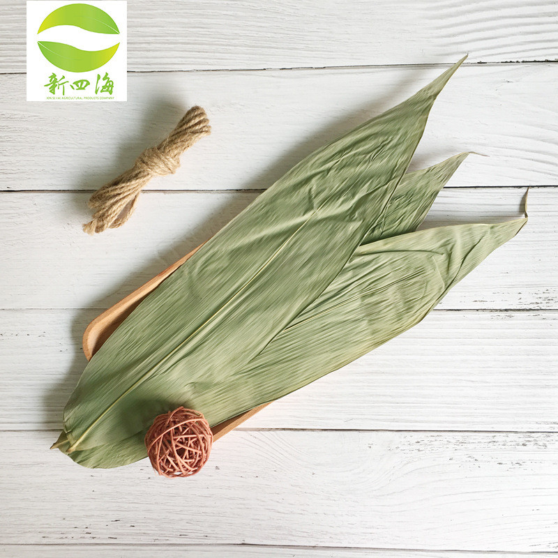 粽叶粽粽子50斤大号竹叶野生麻叶包粽子端午节子叶箬叶产地直发