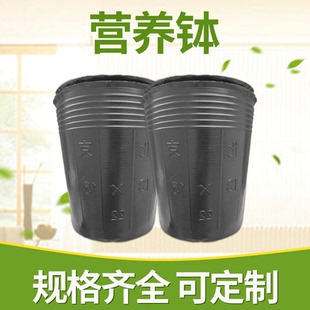 一次性批发营养钵秧苗育苗杯黑色塑料育苗盆花卉种植袋