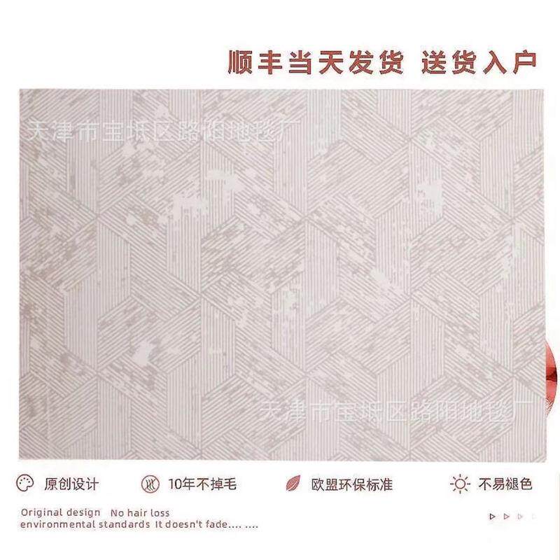 地毯客厅茶几毯2022新款ins风撸猫感现代简约地垫高级卧室满铺