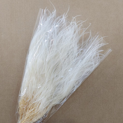 批发羽毛草大把花材柔丝花草l草干花浪漫材羽毛草花束