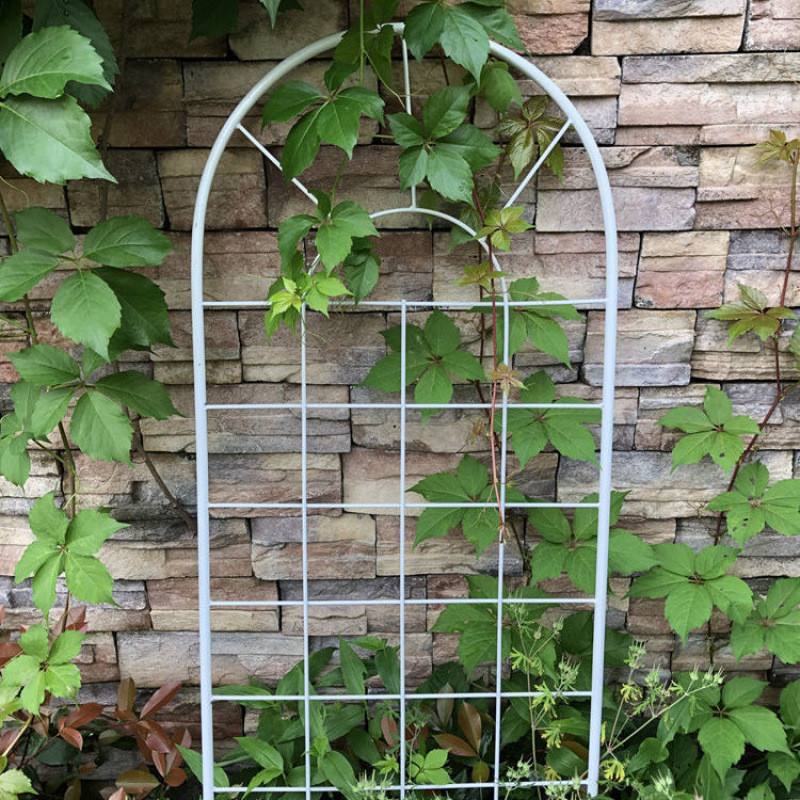 铁丝网格花架爬藤屏风爬藤架月季庭院牵牛花组合园艺幕栅栏户外