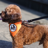 宠物猫咪狗狗牵引绳项圈结实小型犬大型犬泰迪遛狗绳狗链子颈拉绳