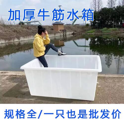 加厚牛筋塑料水箱长方形水产养殖箱水桶养鱼浅盆PE四方一体成型