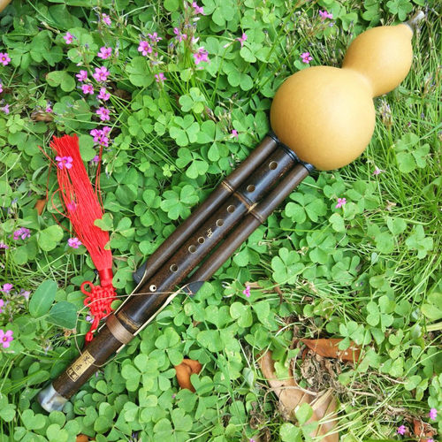 紫竹九孔葫芦丝降bC小DFG调演奏学习乐器配盒子中国结