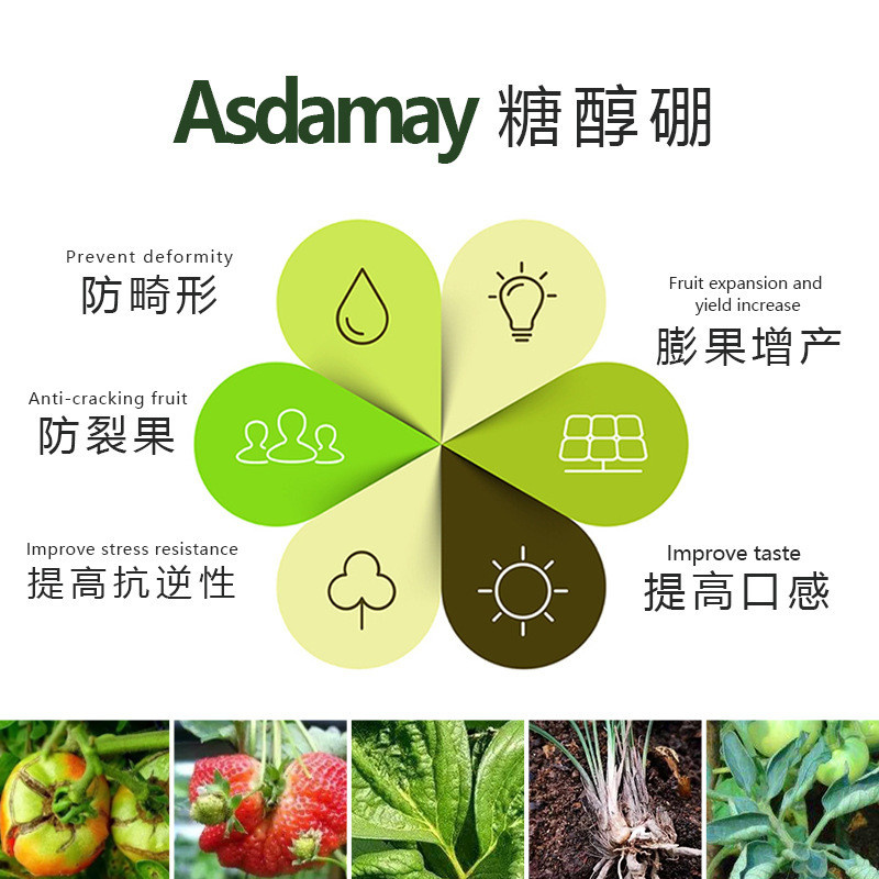 糖醇硼10公斤/延长促花坐果.花芽分化着色增甜.防止裂果桶保险期.
