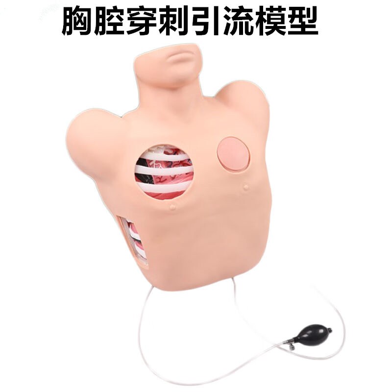胸腔穿刺引流模型胸腔穿刺模型气胸液胸闭式处理模型
